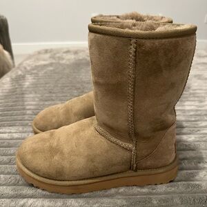 chestnut classic short uggs-size 8